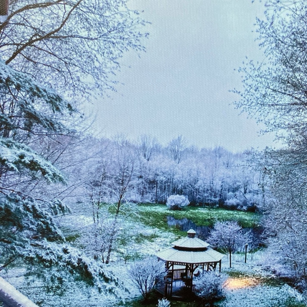 Serene Snowy Landscape Canvas Art:Photo